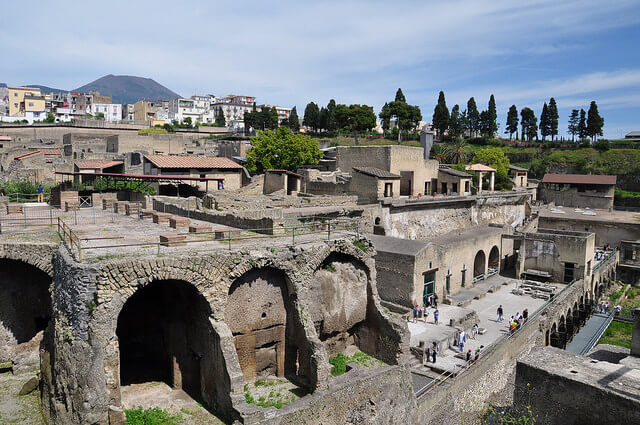 ヘルクラネウムの画像1