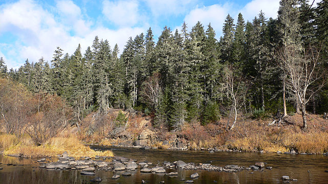 ビキン川渓谷の画像1
