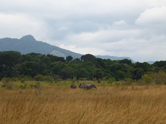 ロペ‐オカンダの生態系と残存する文化的景観の画像1