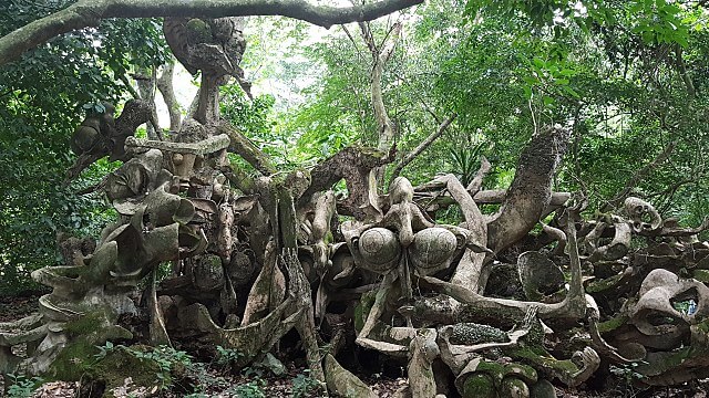 オスン-オソボ聖林の画像1