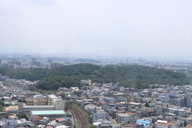 仁徳天皇陵古墳（茶山古墳と大安寺山古墳を含む）の画像3