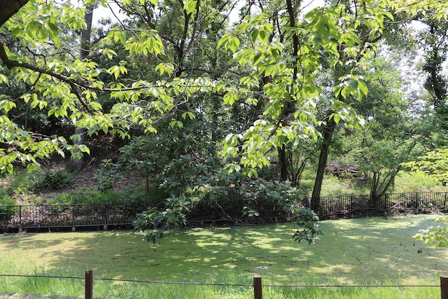 孫太夫山古墳の画像2