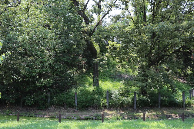 竜佐山古墳の画像1