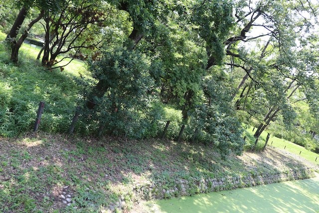 竜佐山古墳の画像2