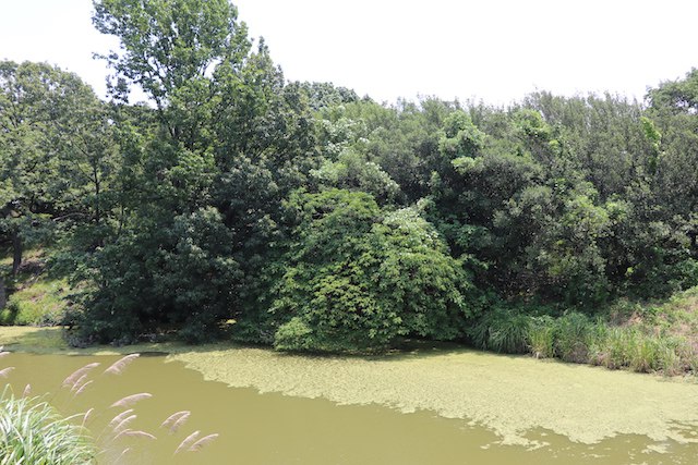 仁徳天皇陵古墳（茶山古墳と大安寺山古墳を含む）の画像6