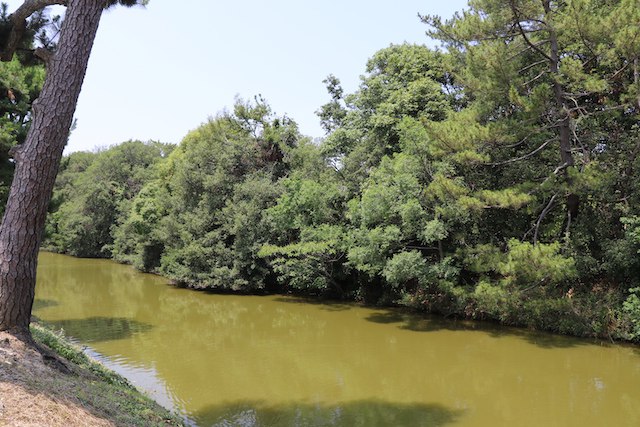 仁徳天皇陵古墳（茶山古墳と大安寺山古墳を含む）の画像4