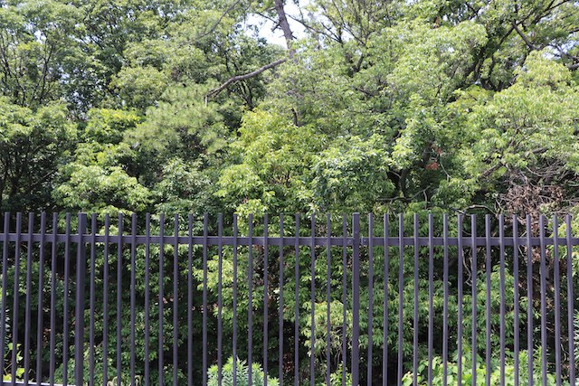 仁徳天皇陵古墳（茶山古墳と大安寺山古墳を含む）の画像8