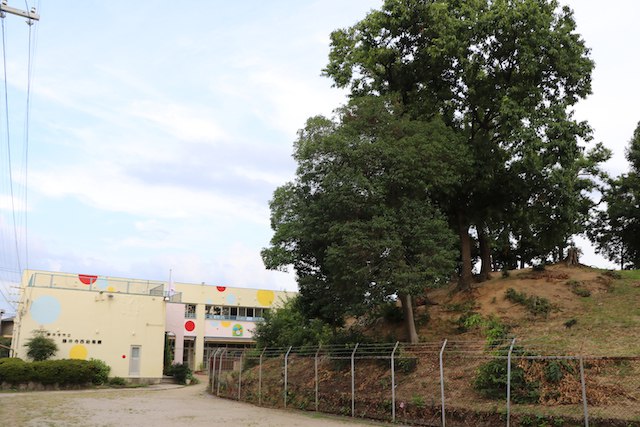 鉢塚古墳の画像2