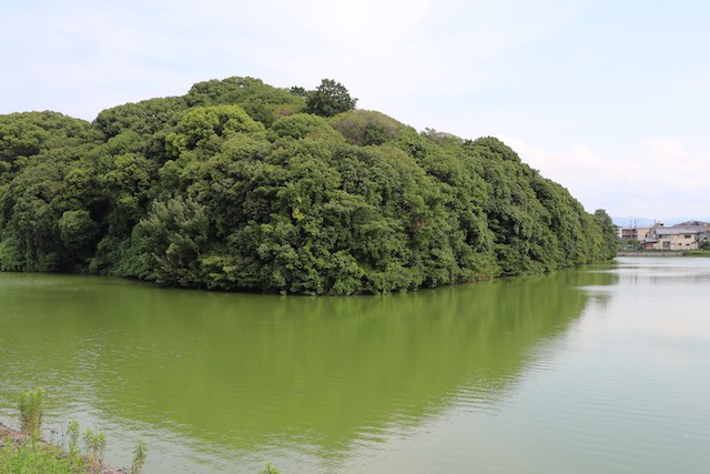 白鳥陵古墳の画像1