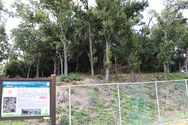 青山古墳の画像1