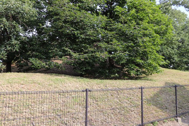 浄元寺山古墳の画像2