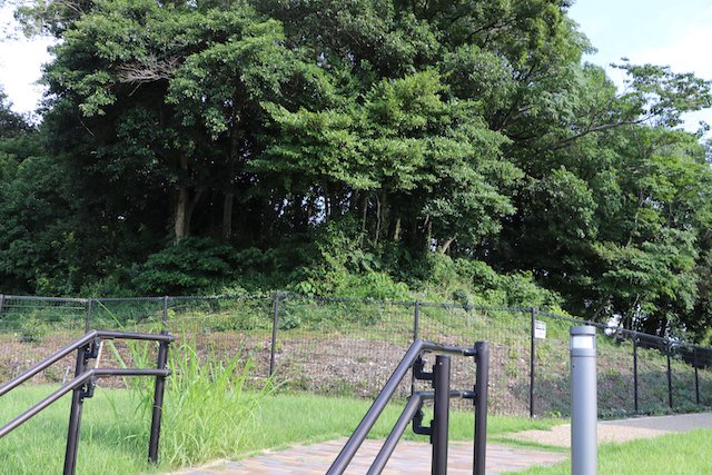 向墓山古墳の画像1