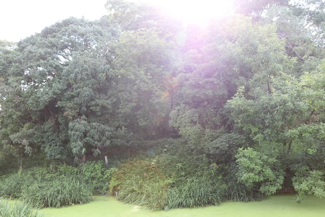 墓山古墳の画像1