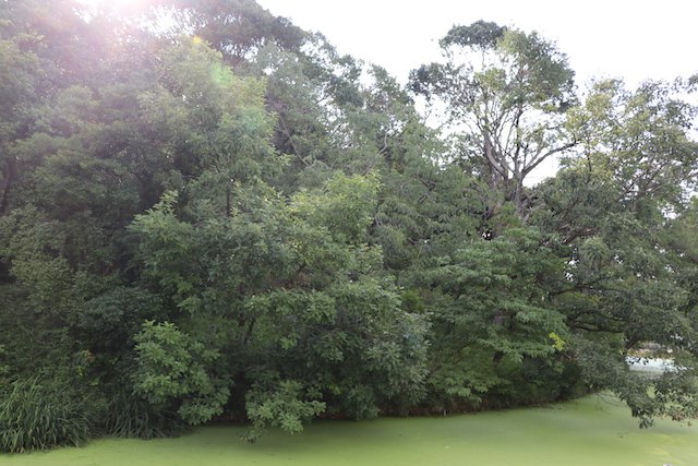 墓山古墳の画像2