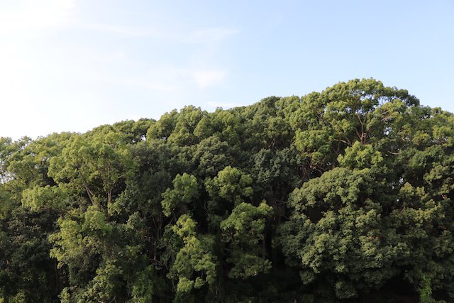 允恭天皇陵古墳の画像1