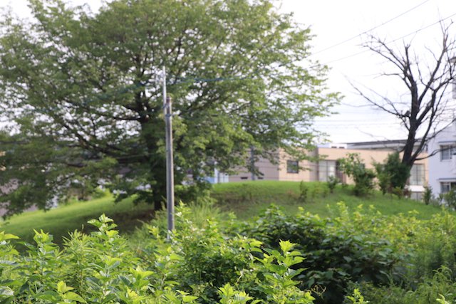 助太山古墳の画像2