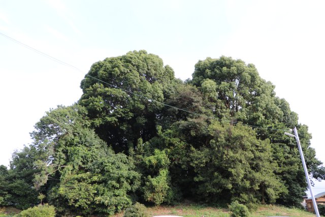 八島塚古墳の画像1