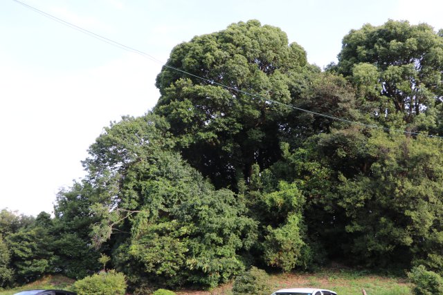 八島塚古墳の画像2