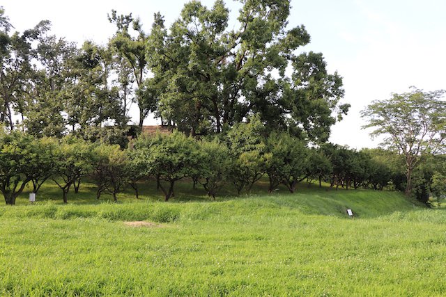 小室山古墳の画像1