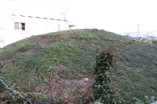 東馬塚古墳の画像1