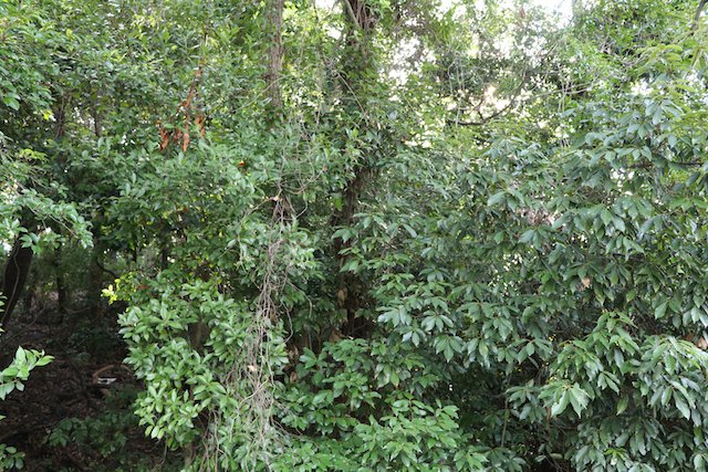 東山古墳の画像1