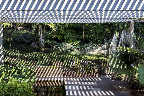 ロバート・ブール・マルクス記念遺産の画像1