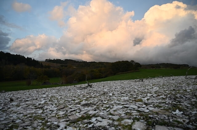 北黄金貝塚 の画像3