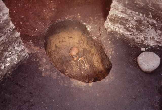 北黄金貝塚 の画像4