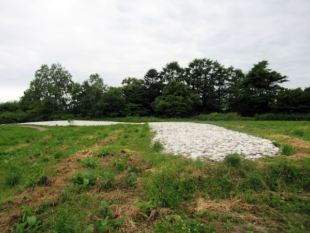  入江・高砂貝塚（高砂貝塚）の画像1