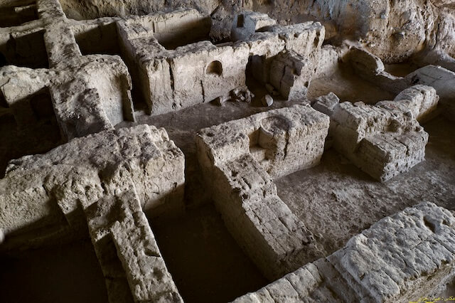 ハグマターナの画像1