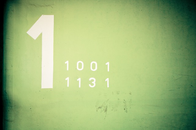 パレスチナ：オリーブとワインの地－エルサレム南部バティールの文化的景観の画像6