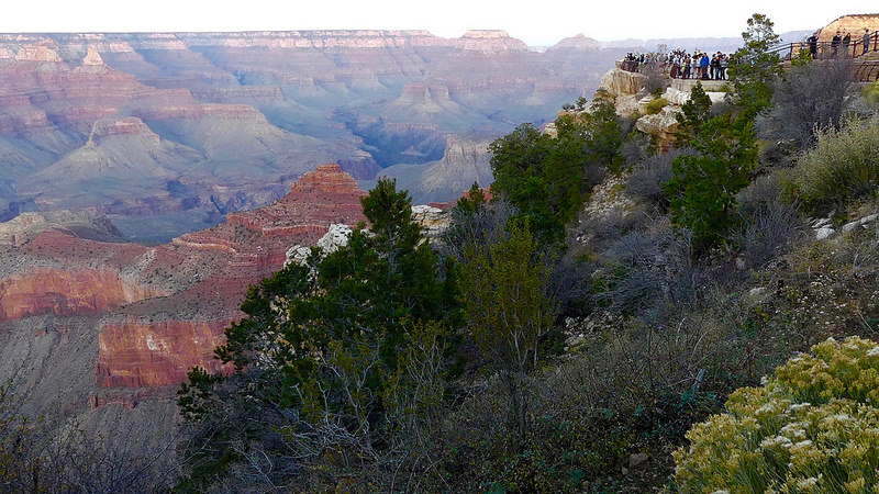 グランド・キャニオン国立公園の画像25