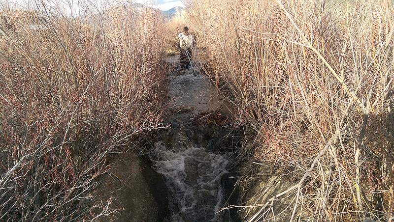 プエブロ・デ・タオスの画像12
