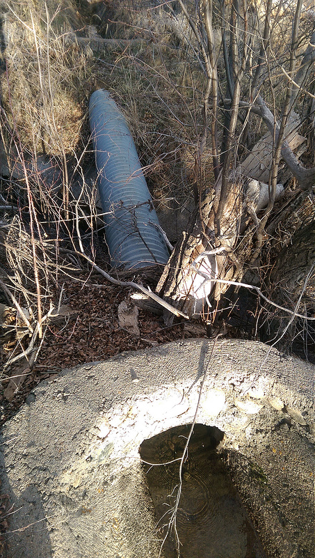 プエブロ・デ・タオスの画像15