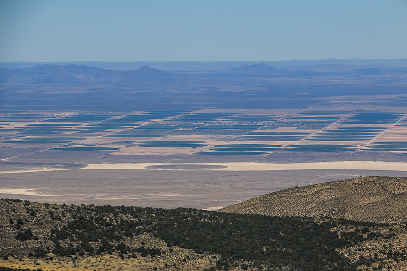 カールズバッド洞窟群国立公園の画像12