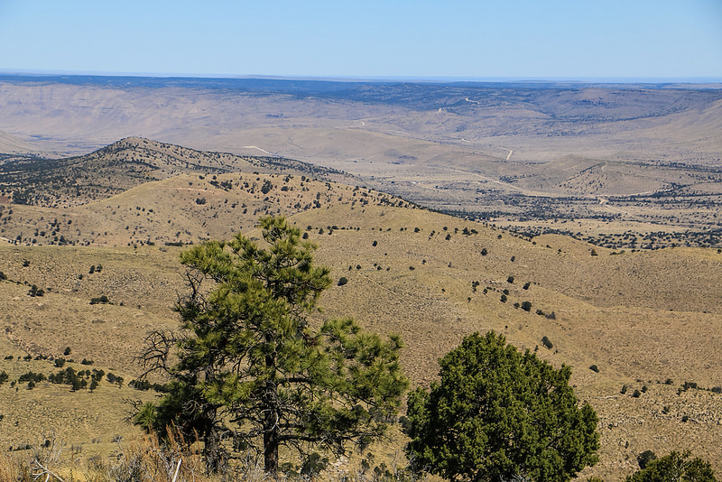 カールズバッド洞窟群国立公園の画像15