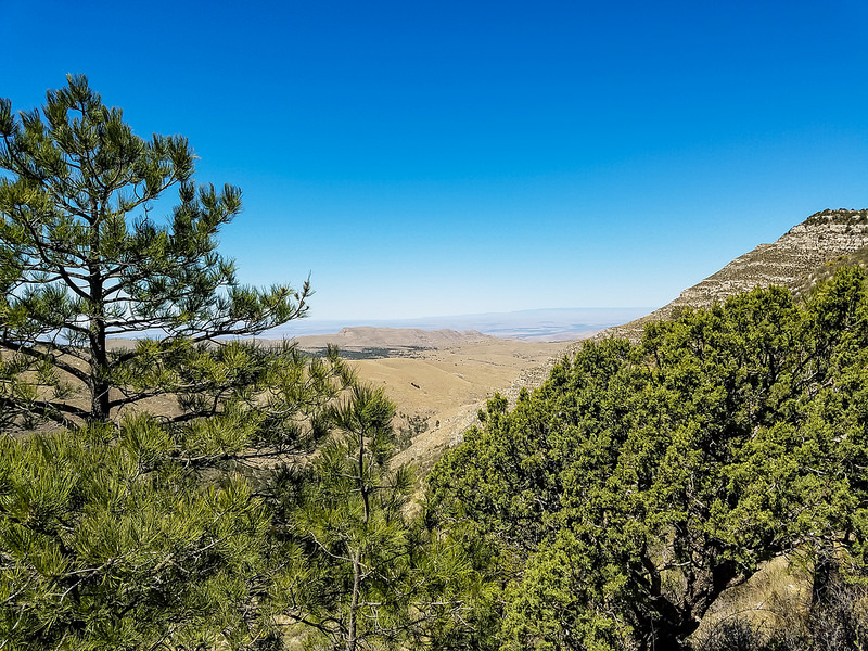 カールズバッド洞窟群国立公園の画像16