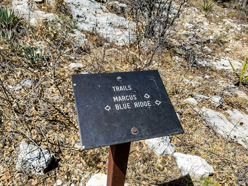 カールズバッド洞窟群国立公園の画像18