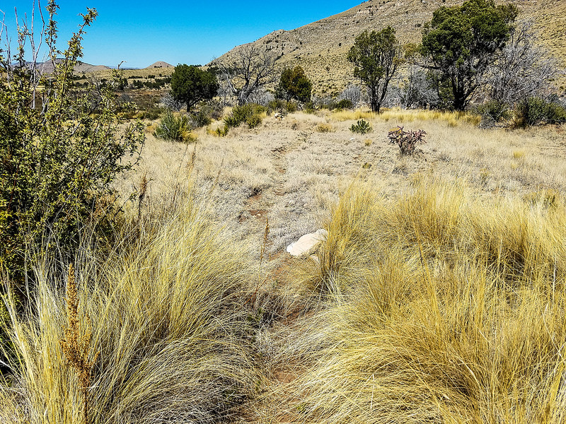カールズバッド洞窟群国立公園の画像22