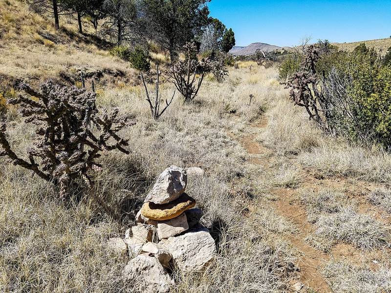 カールズバッド洞窟群国立公園の画像23