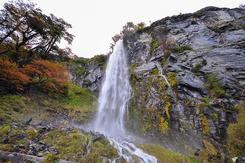 ロス・グラシアレスの画像13