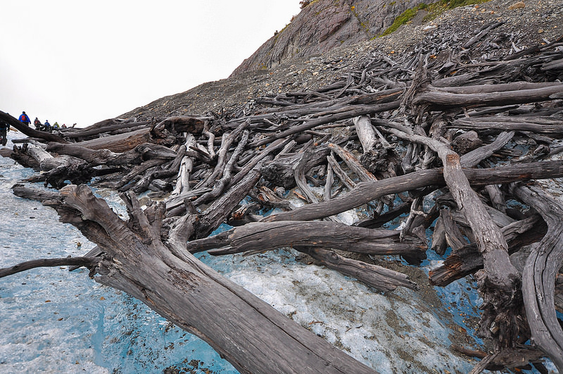 ロス・グラシアレスの画像14