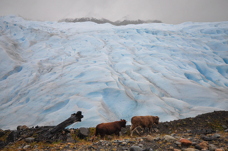 ロス・グラシアレスの画像16