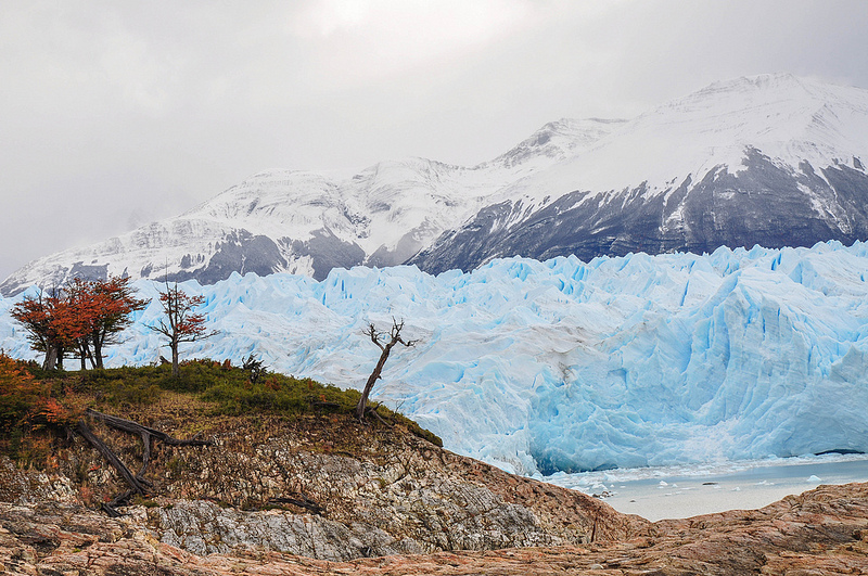 ロス・グラシアレスの画像17