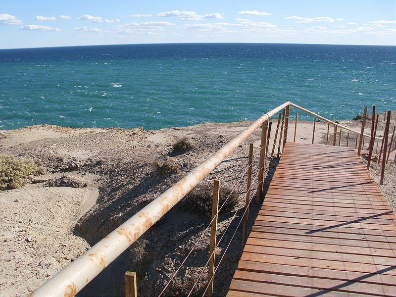 バルデス半島の画像2