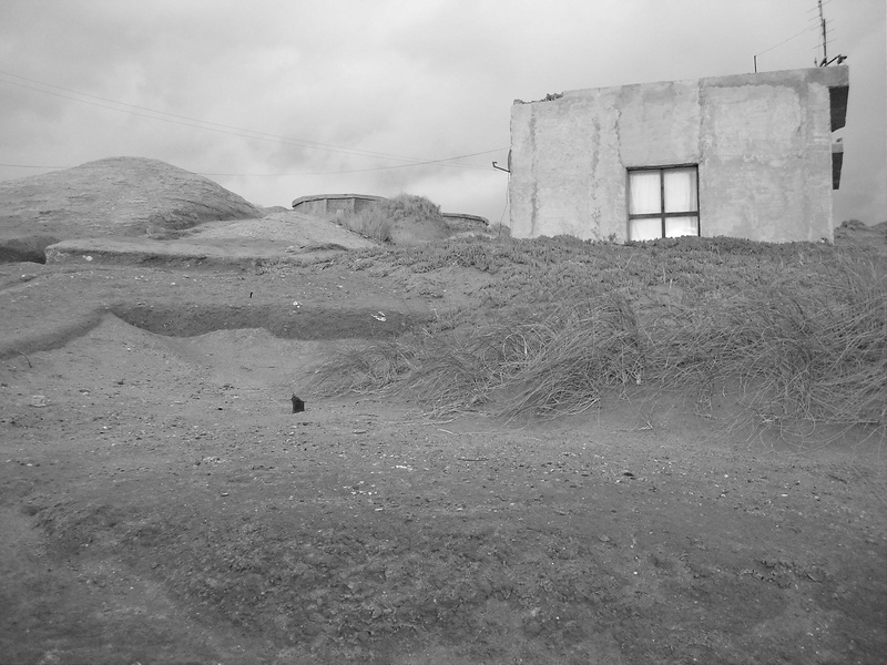 バルデス半島の画像4