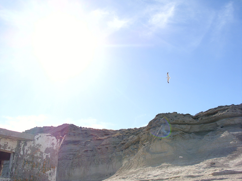 バルデス半島の画像8