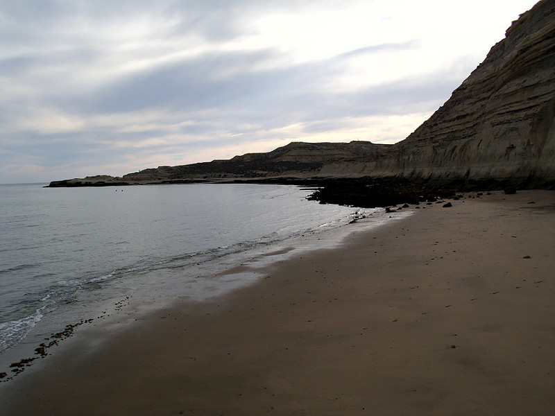 バルデス半島の画像9