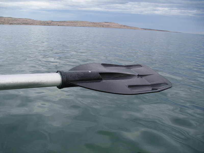 バルデス半島の画像12