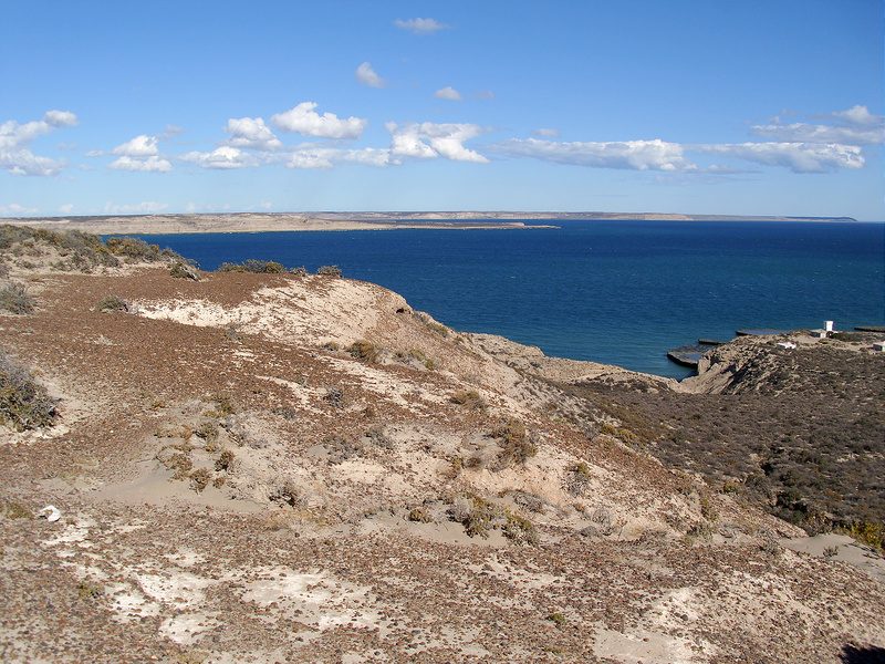 バルデス半島の画像13